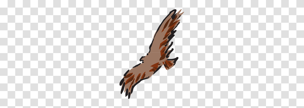 Flying Clip Art Fly Ng Clip Art, Bird, Animal, Kite Bird, Vulture Transparent Png