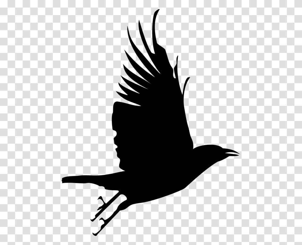Flying Crow Gif, Gray, World Of Warcraft Transparent Png