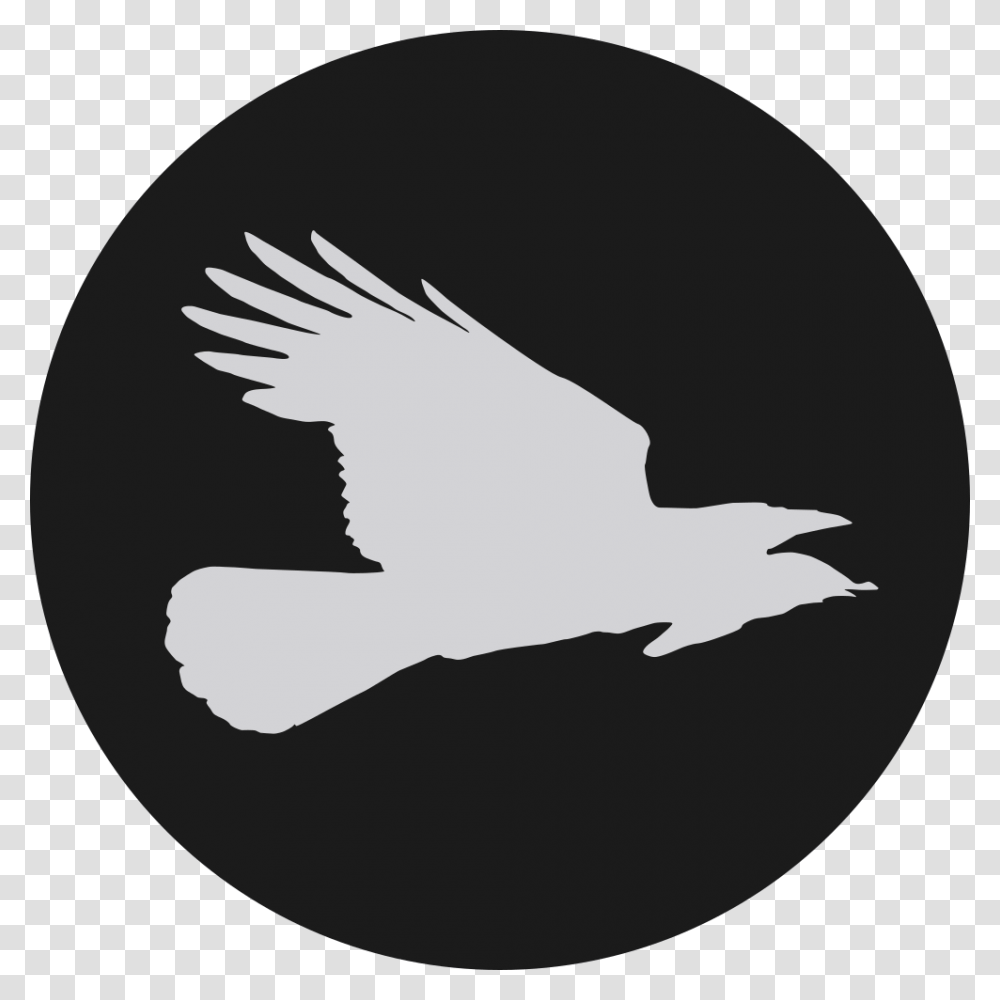 Flying Crow Press Twitter Logo Black Circle, Animal, Bird, Blackbird, Agelaius Transparent Png