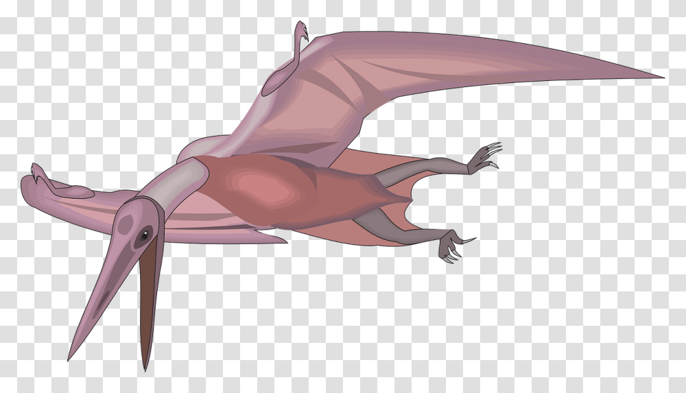 Flying Dinosaurs Cartoon, Hook, Animal, Person, Human Transparent Png