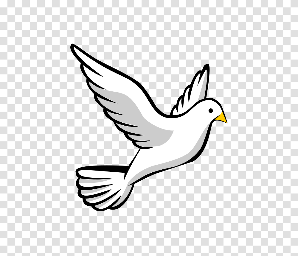 Flying Dove, Religion, Bird, Animal, Sea Life Transparent Png