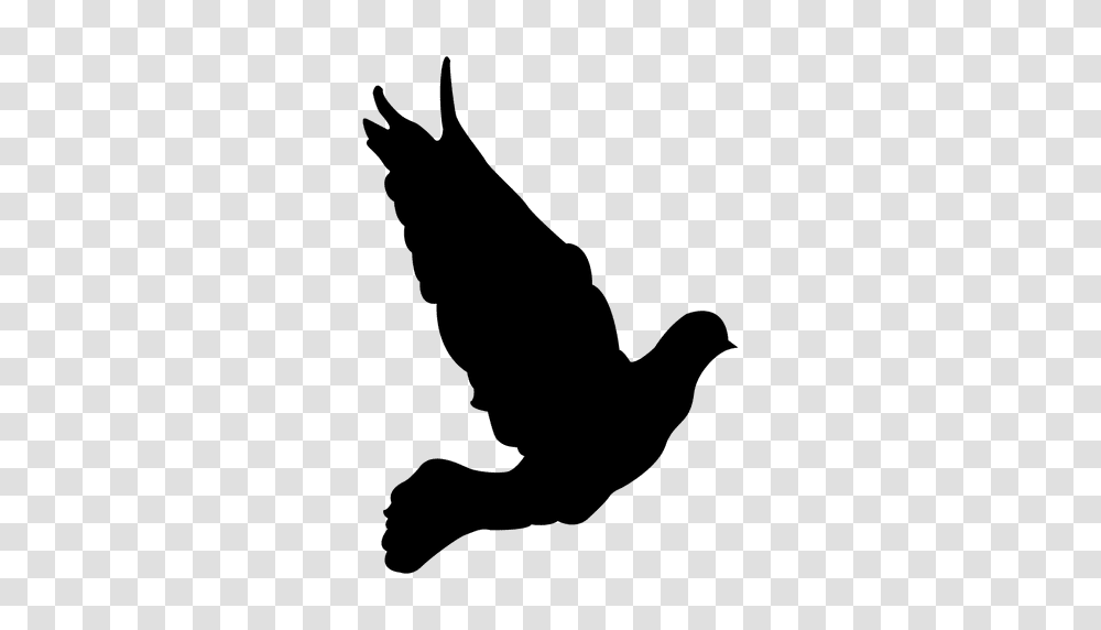 Flying Dove Sequence, Silhouette, Bird, Animal, Person Transparent Png