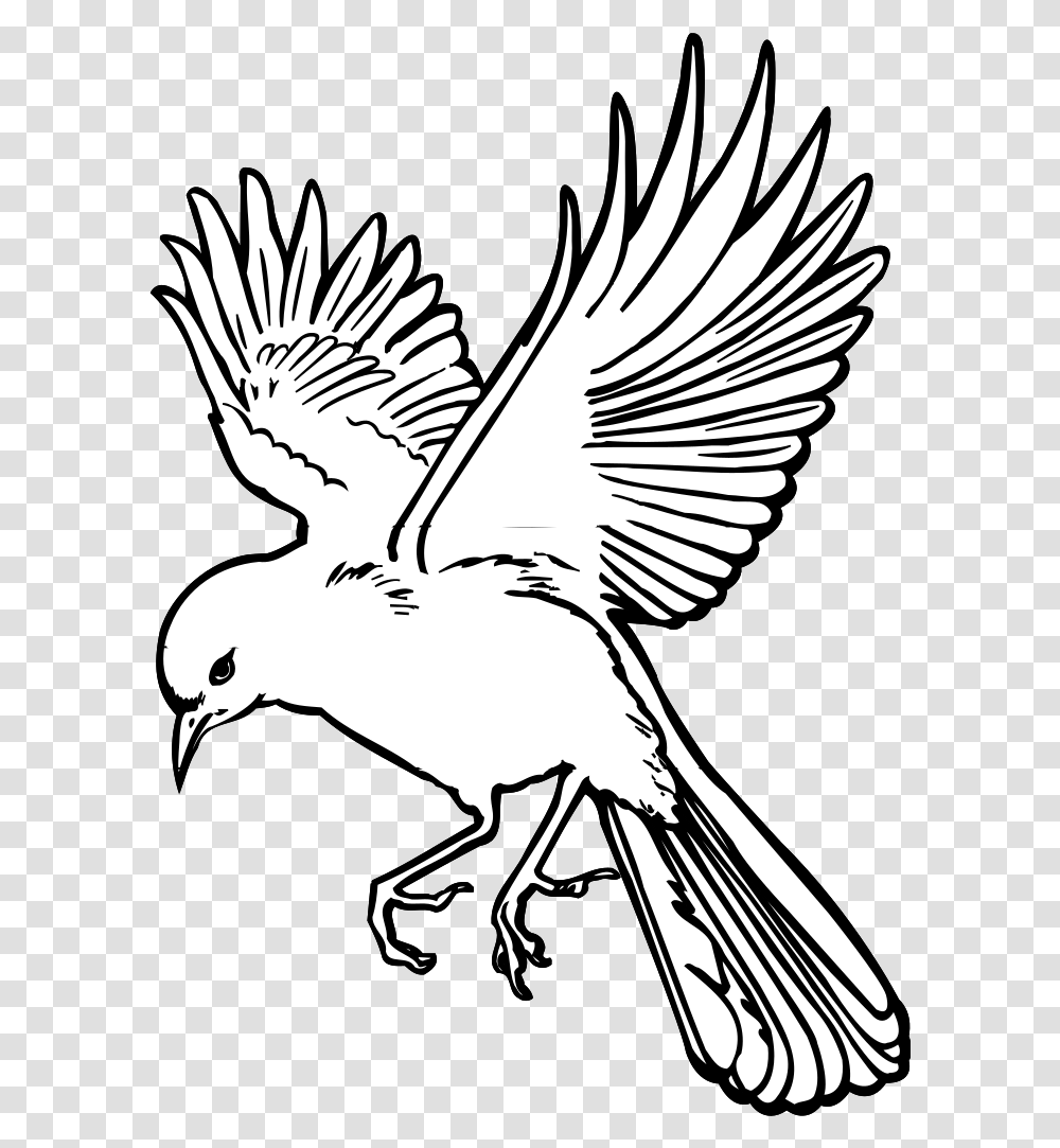 Flying Dove Svg Clip Art For Web Flying Bird Outline, Animal, Stencil, Magpie, Eagle Transparent Png
