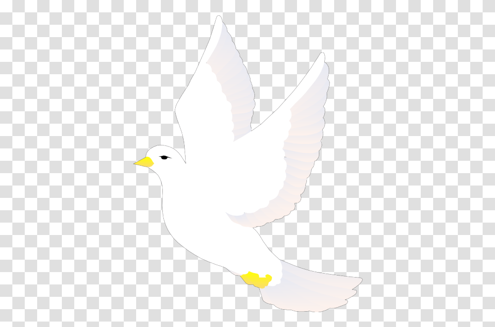 Flying Dove Svg Clip Art For Web White Bird Vector, Animal, Pigeon, Person, Human Transparent Png