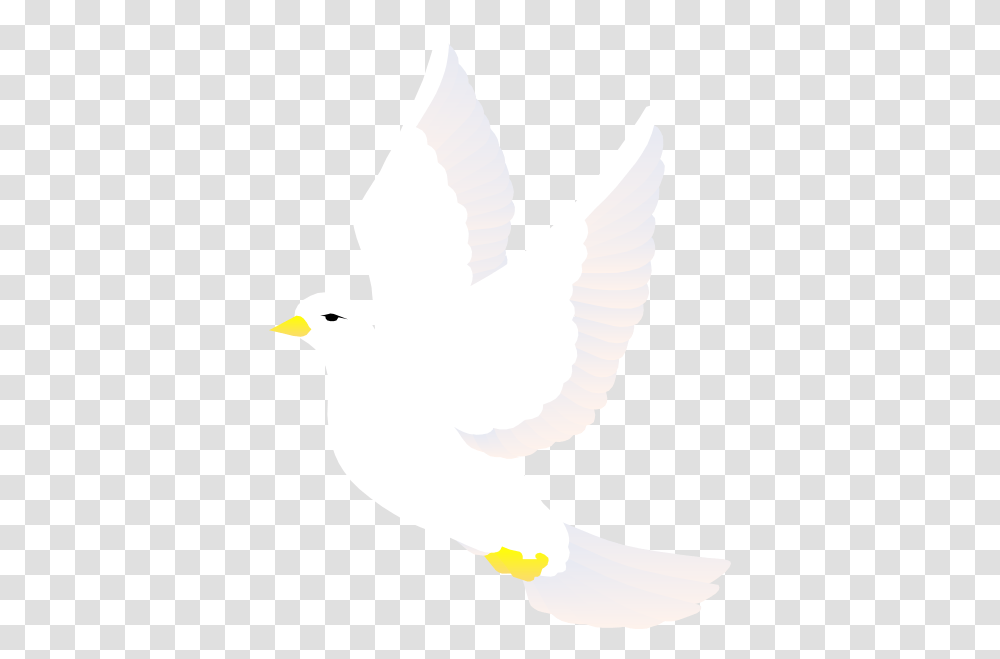 Flying Dove Svg Clip Arts 462 X 598 Px Clipart White Bird, Animal, Pigeon, Person, Human Transparent Png