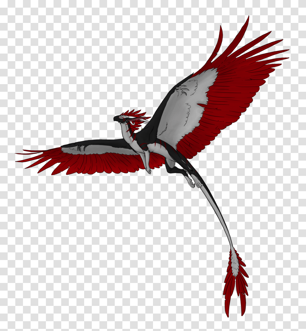 Flying Dragon Hd Clipart Full Size Clipart 3047098 Flying Dragon, Bird, Animal, Stork, Crane Bird Transparent Png
