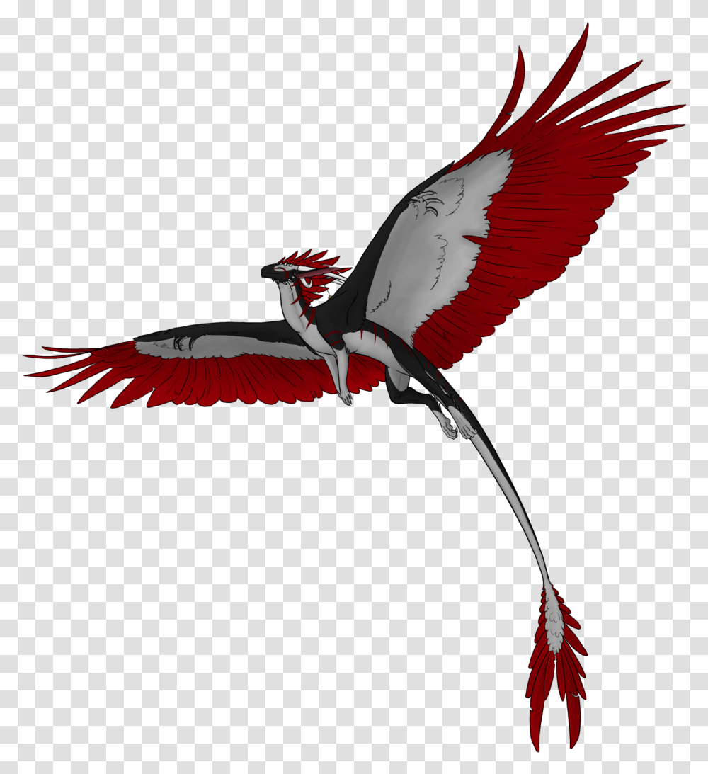 Flying Dragon Hd Flying Dragon, Bird, Animal, Crane Bird, Stork Transparent Png