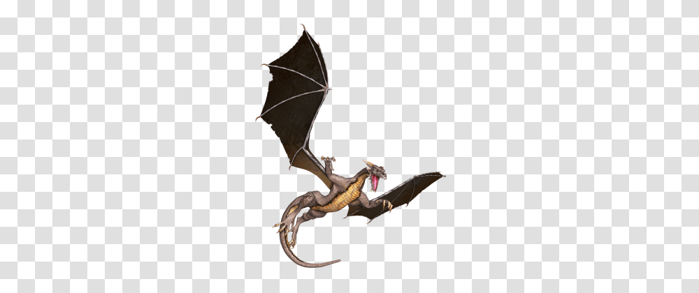 Flying Dragon, Wildlife, Animal, Mammal, Bat Transparent Png