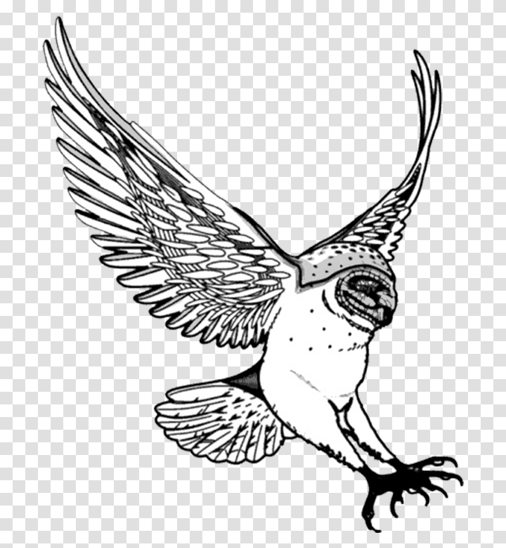 Flying Drawing At Getdrawings Swoop Clipart, Bird, Animal, Owl Transparent Png