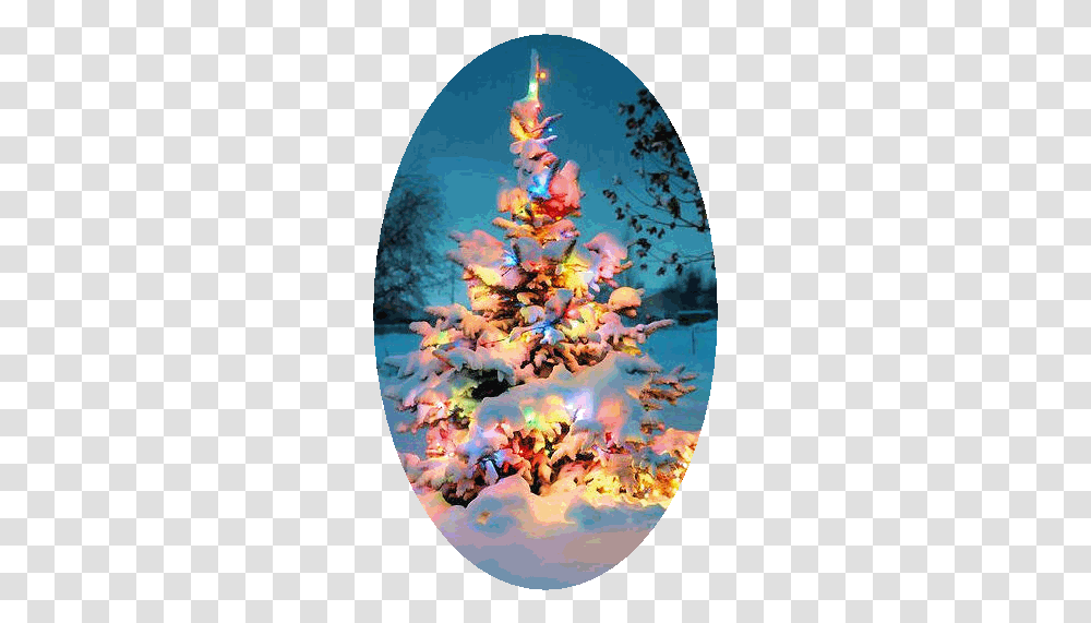 Flying Dreams Linda's Christmas, Tree, Plant, Ornament, Fisheye Transparent Png