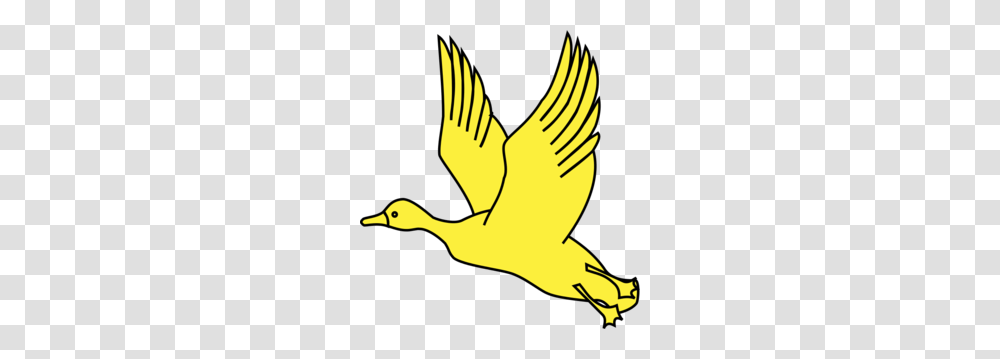 Flying Duck Clipart, Animal, Bird, Goose, Person Transparent Png