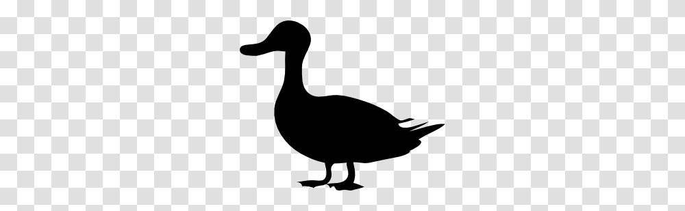 Flying Duck Clipart, Bird, Animal, Goose, Hammer Transparent Png