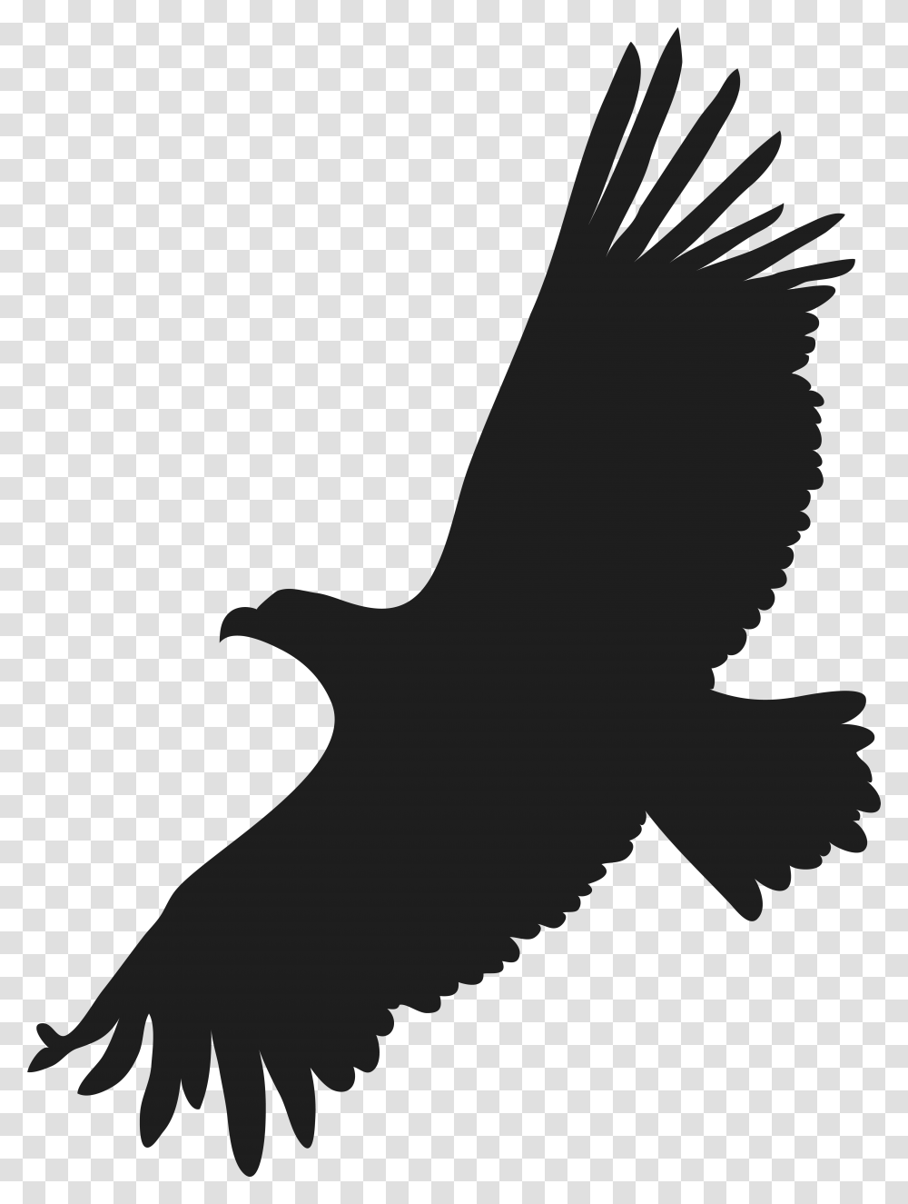 Flying Eagle Clip Art Image Flying Eagle Silhouette, Animal, Reptile, Bird, Gecko Transparent Png