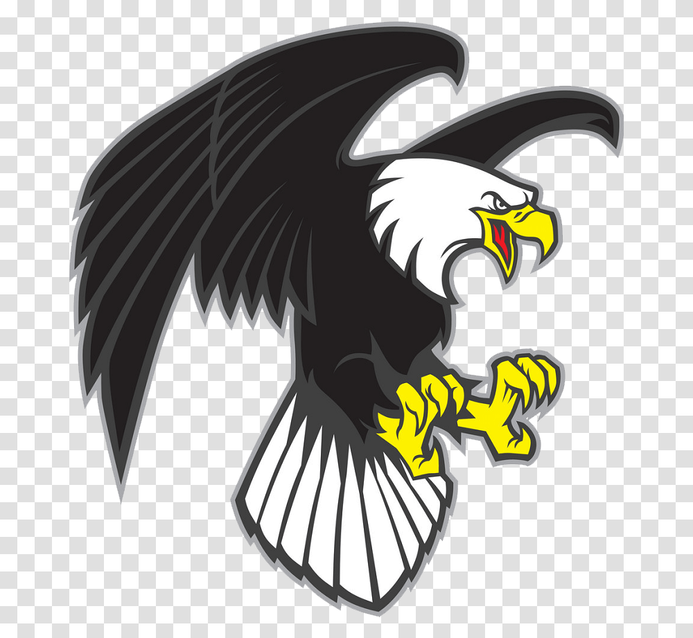 Flying Eagle Clipart 1 Cartoon Angry Eagle, Bird, Animal, Vulture, Bald Eagle Transparent Png