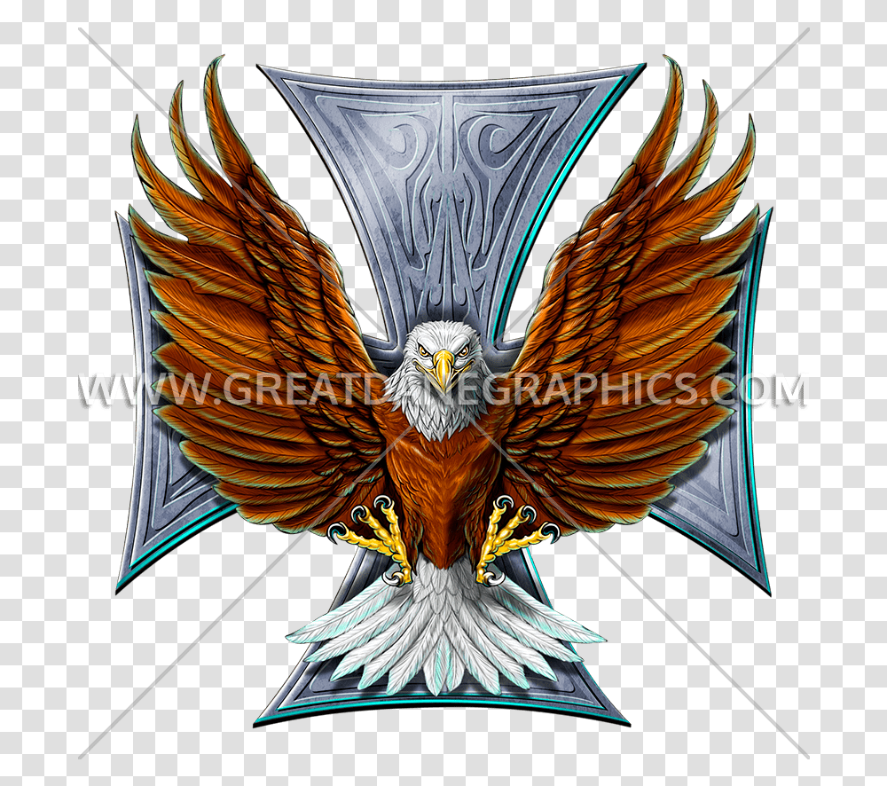Flying Eagle Clipart Bald Eagle, Bird, Animal, Painting, Kite Bird Transparent Png