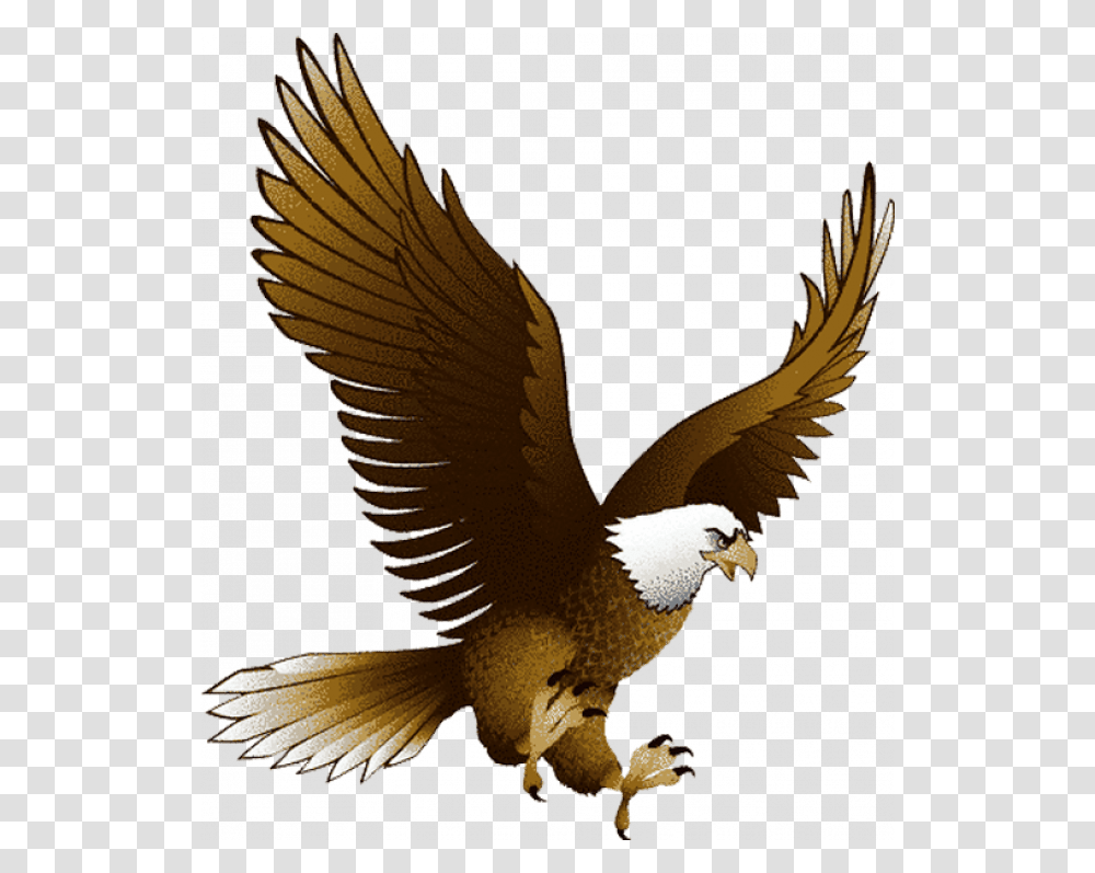 Flying Eagle Clipart, Bird, Animal, Kite Bird, Bald Eagle Transparent Png