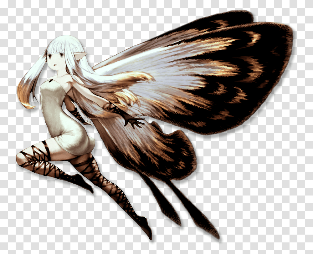 Flying Fairy, Bird, Animal, Chicken, Poultry Transparent Png