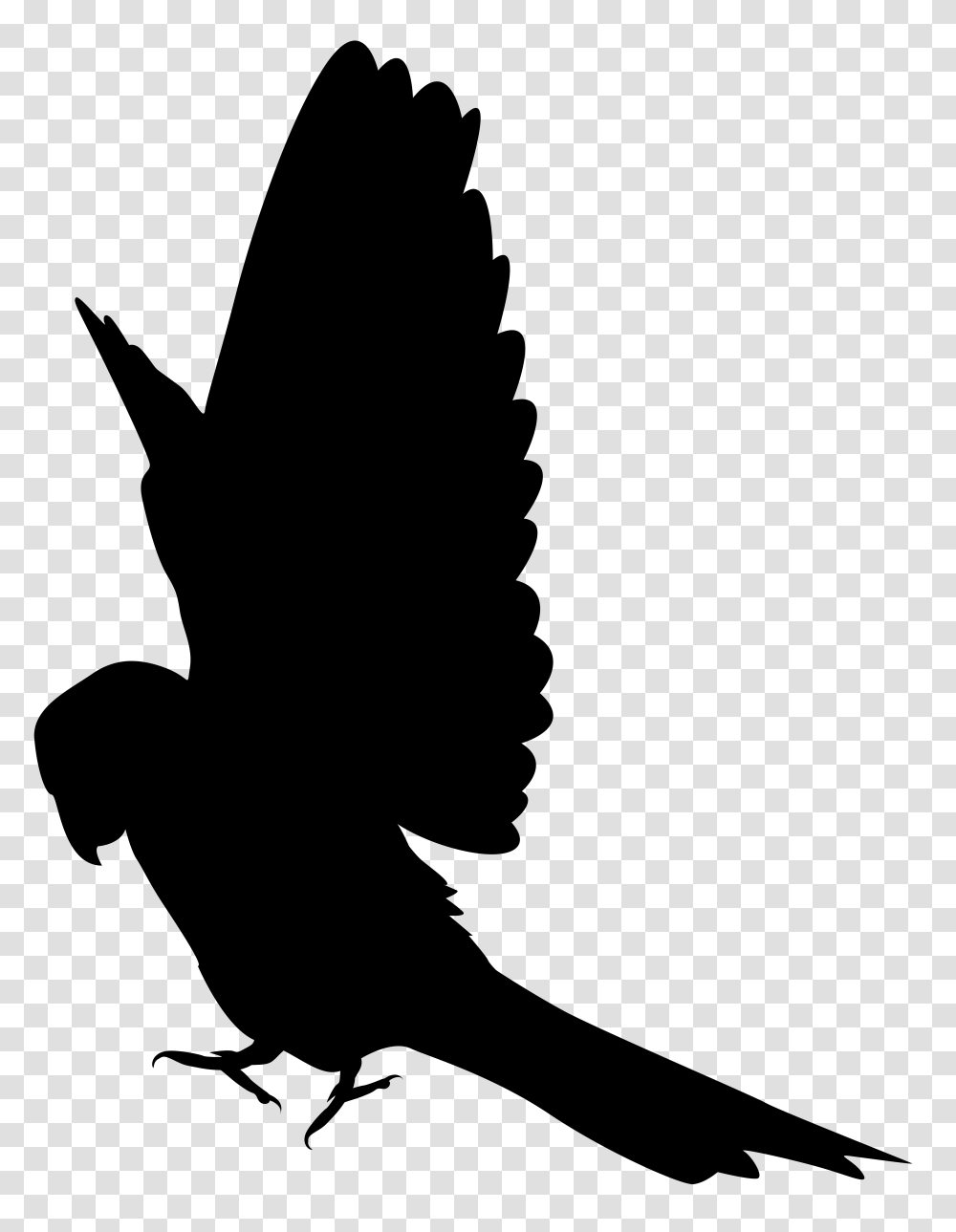 Flying Fairy Silhouette, Crow, Bird, Animal, Person Transparent Png