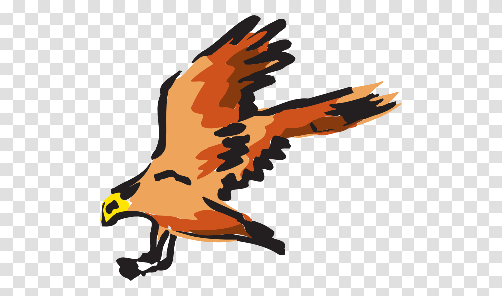 Flying Falcon Clipart, Eagle, Bird, Animal, Vulture Transparent Png