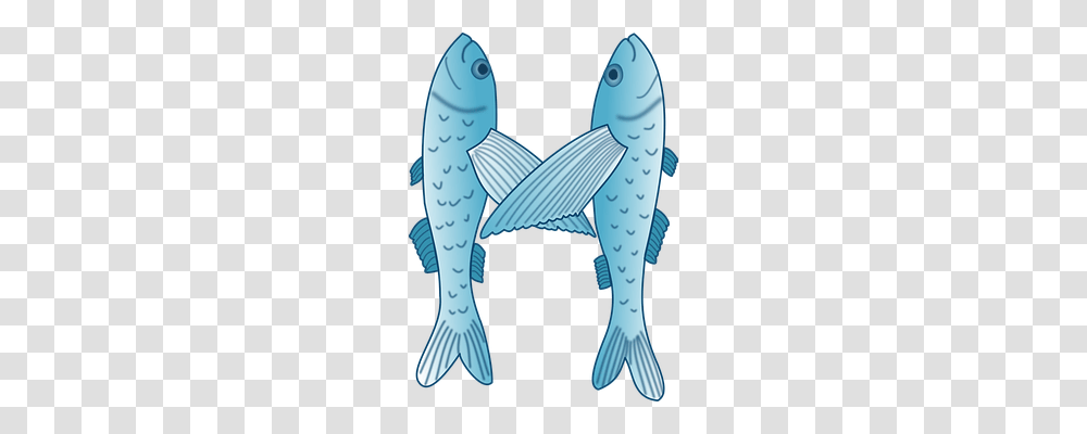 Flying Fish Animals, Sea Life, Mammal, Whale Transparent Png