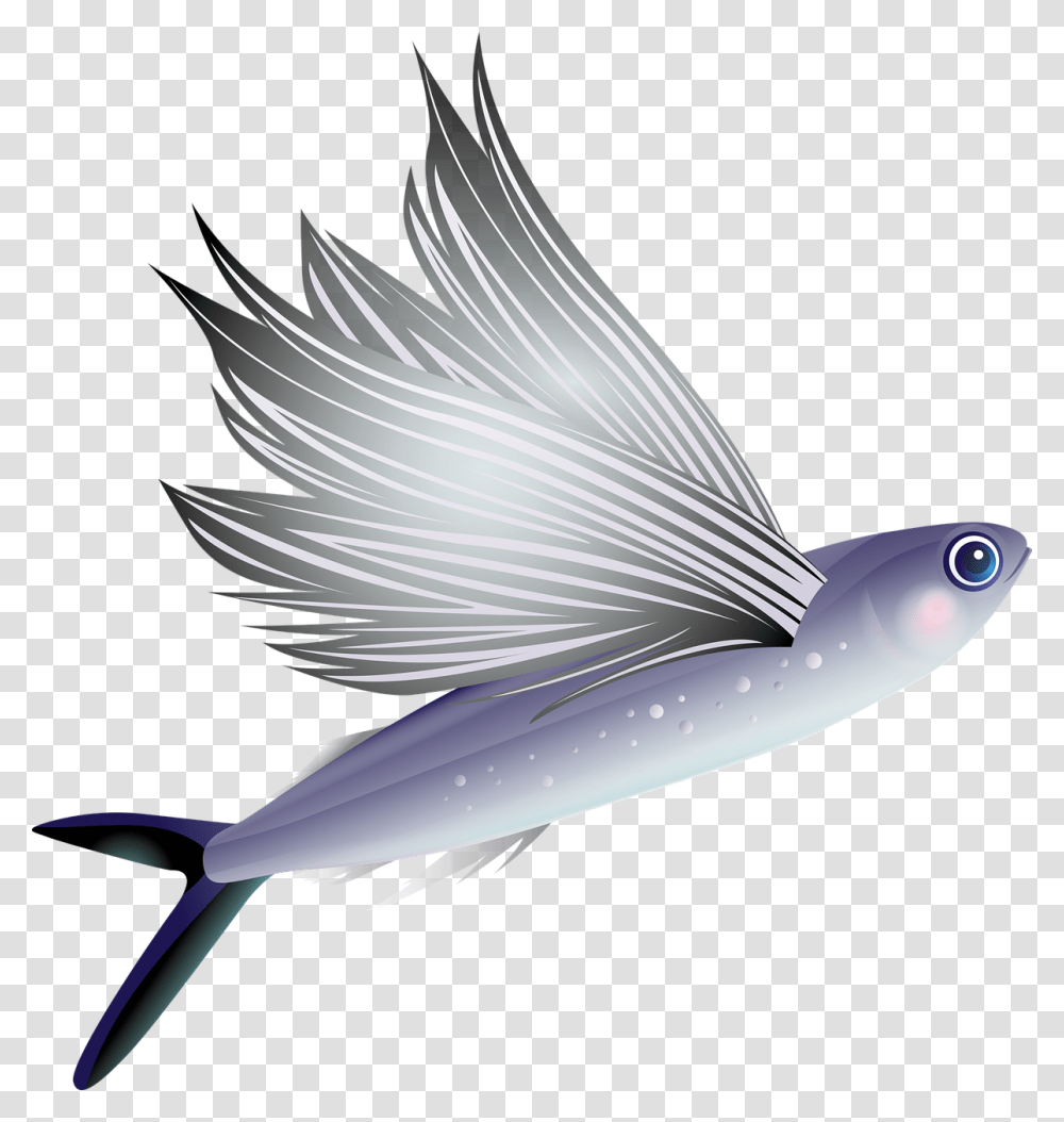 Flying Fish, Animal, Sea Life, Swordfish, Outdoors Transparent Png