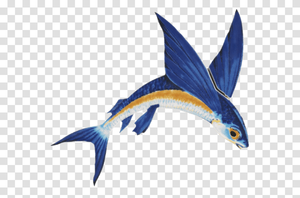 Flying Fish Clipart Download Flying Fish, Swordfish, Sea Life, Animal, Bird Transparent Png