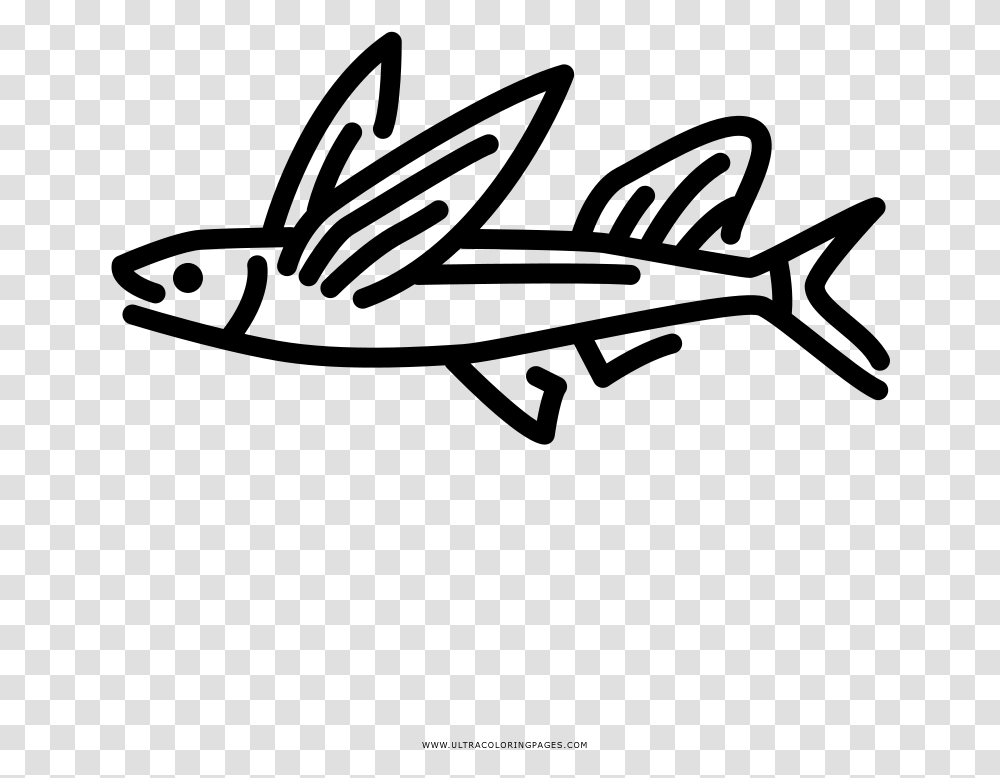 Flying Fish Coloring, Gray, World Of Warcraft Transparent Png