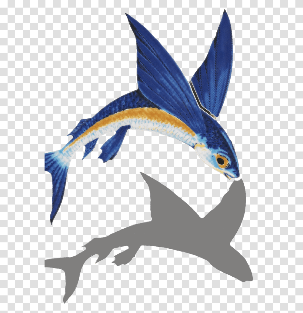 Flying Fish Gif, Animal, Swordfish, Sea Life, Bird Transparent Png