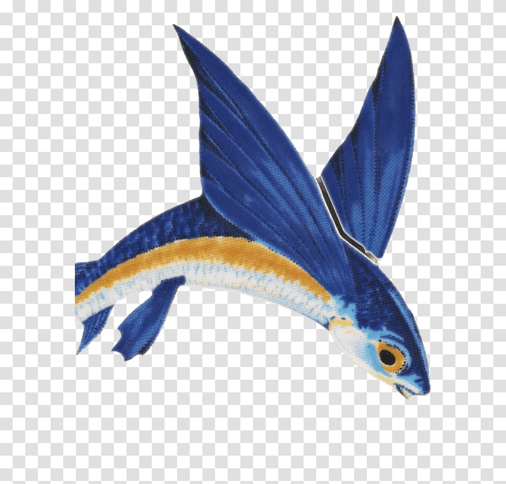 Flying Fish Gif, Animal, Swordfish, Sea Life, Person Transparent Png