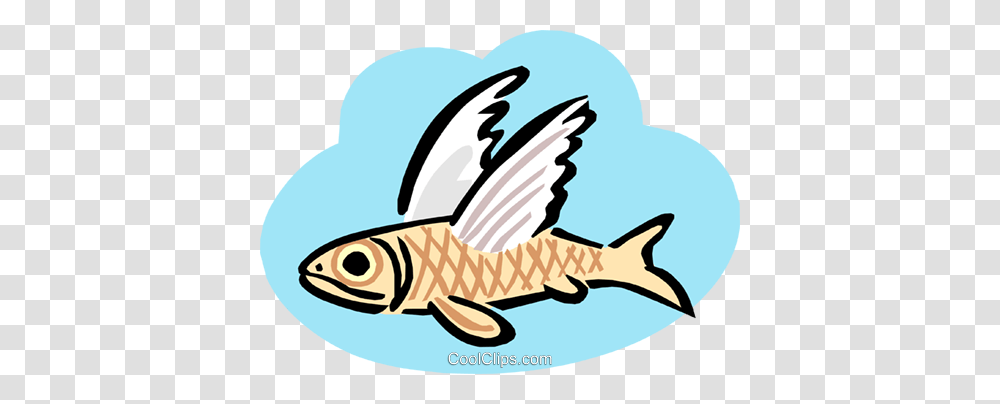 Flying Fish Royalty Free Vector Clip Art Illustration, Animal, Baseball Cap, Hat Transparent Png