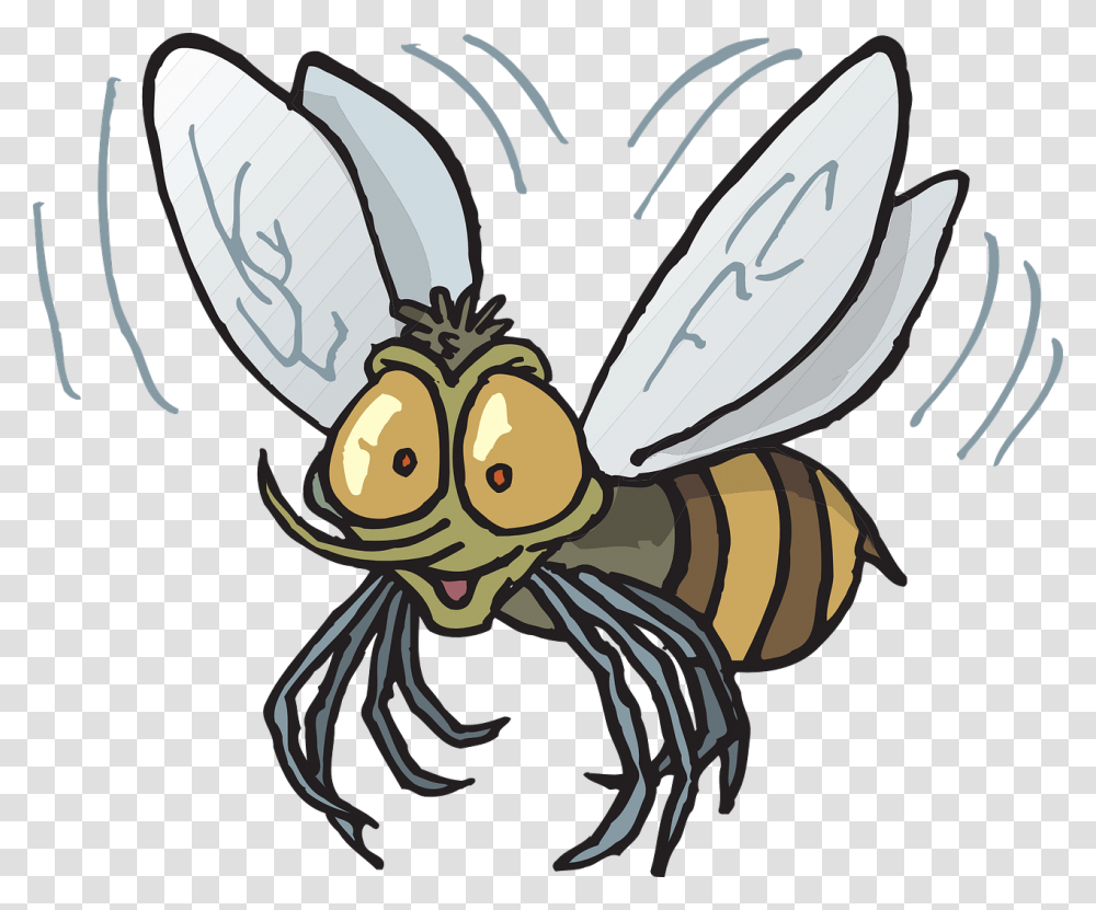 Flying Fly Clipart, Insect, Invertebrate, Animal, Wasp Transparent Png
