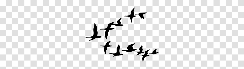 Flying Geese Clip Art, Flock, Animal, Silhouette, Bird Transparent Png