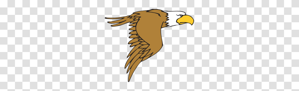 Flying Hawk Cliparts, Eagle, Bird, Animal, Vulture Transparent Png