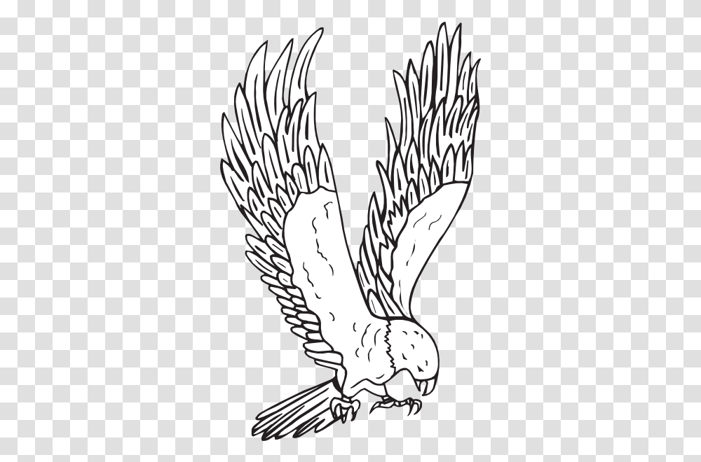 Flying Hawk Kid Image Clipart Hawk Clipart Black And White, Dragon, Animal, Eagle, Bird Transparent Png
