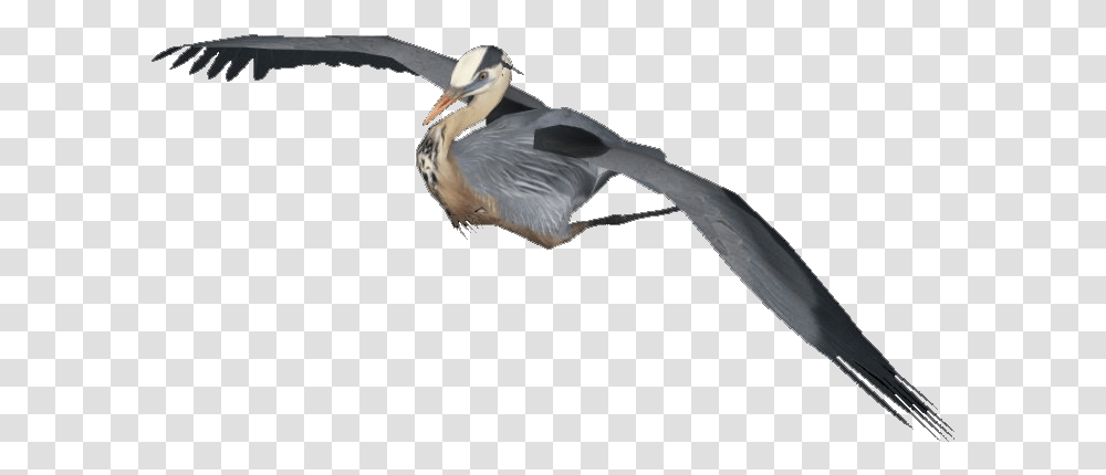 Flying Heron Image Flying Heron, Bird, Animal, Waterfowl, Ardeidae Transparent Png