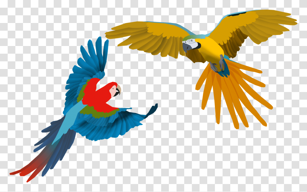 Flying Macaw, Parrot, Bird, Animal Transparent Png