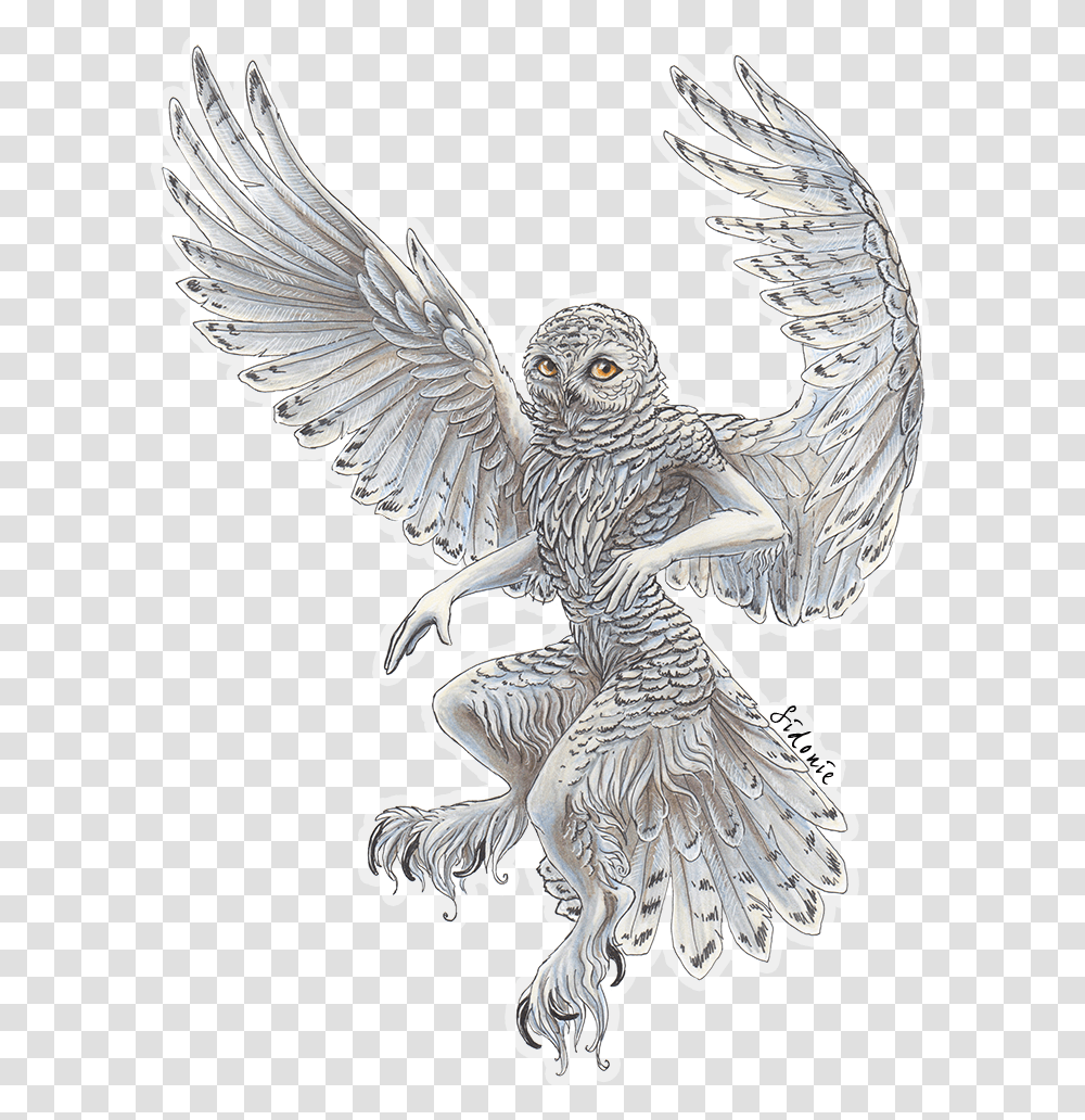 Flying Owl Clipart Black And White Snowy Owl Art, Bird, Animal, Eagle, Angel Transparent Png