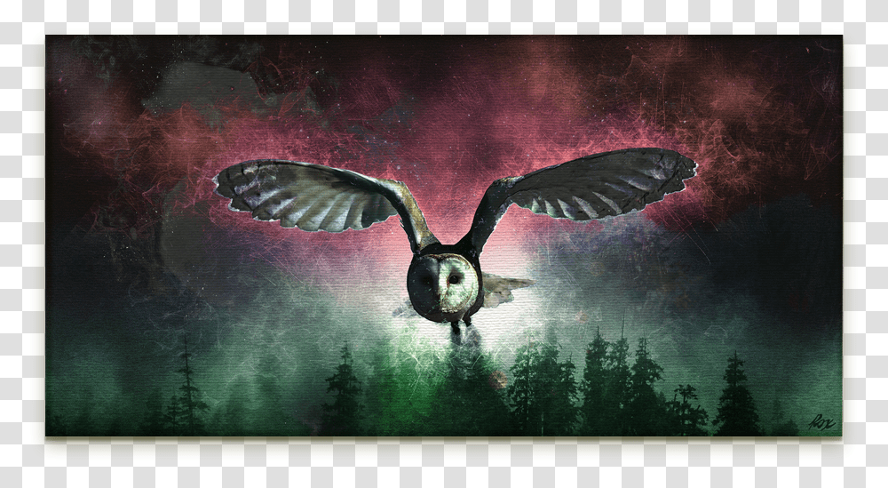 Flying Owl Digital Art On Canvas Barn Owl, Bird, Animal, Vulture Transparent Png