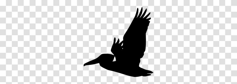 Flying Owl Silhouette, Gray, World Of Warcraft Transparent Png