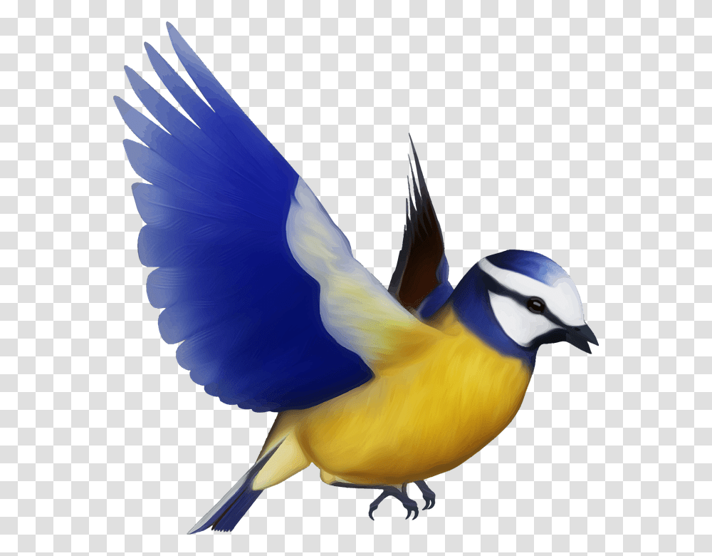 Flying Parrot, Bird, Animal, Finch, Bluebird Transparent Png