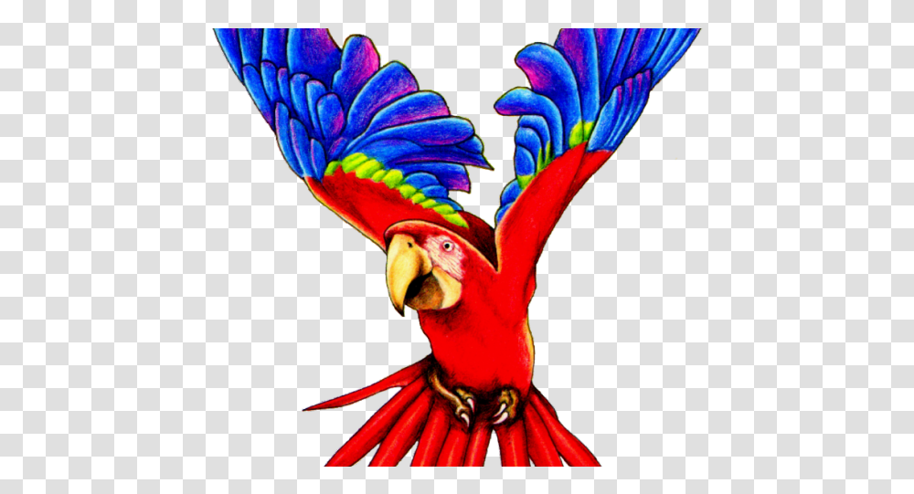 Flying Parrot Clipart, Animal, Bird, Macaw Transparent Png