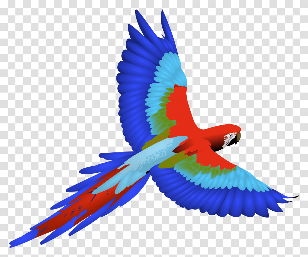 Flying Parrot Clipart, Bird, Animal, Macaw Transparent Png