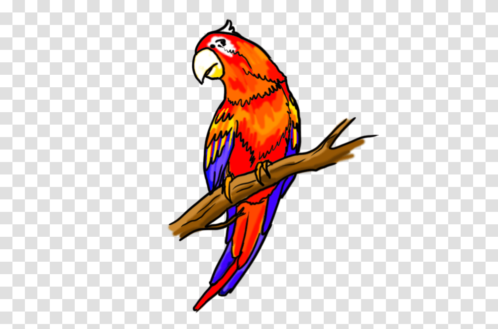 Flying Parrot Drawing, Bird, Animal, Macaw Transparent Png