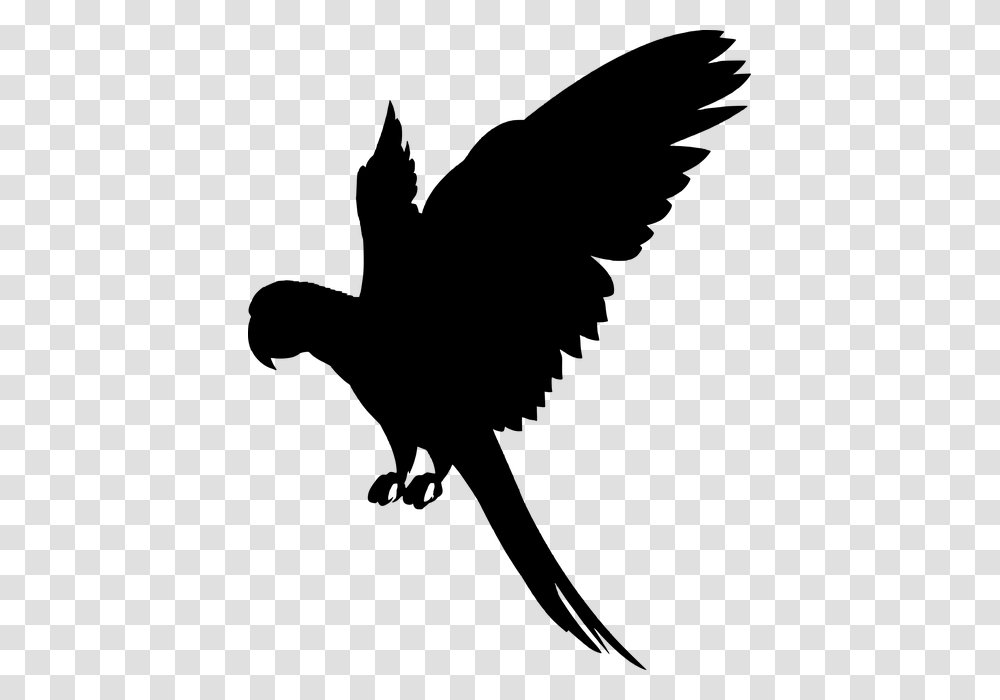 Flying Parrot Parrot Silhouette, Gray, World Of Warcraft Transparent Png