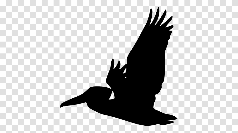 Flying Pelican Clip Art Image, Gray, World Of Warcraft Transparent Png