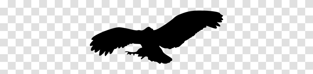 Flying Pelican Clip Art Image, Gray, World Of Warcraft Transparent Png