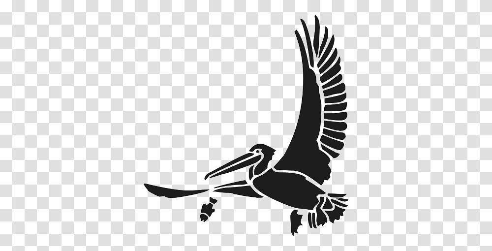 Flying Pelican High Quality Image Arts, Bird, Animal, Beak, Silhouette Transparent Png