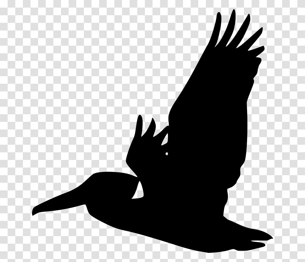 Flying Pelican Silhouette Free Vector, Gray, World Of Warcraft Transparent Png