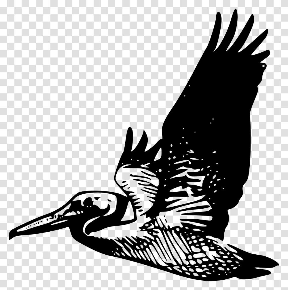 Flying Pelican Svg Clip Arts Clipart Pelican Flying, Bird, Animal, Eagle, Stork Transparent Png