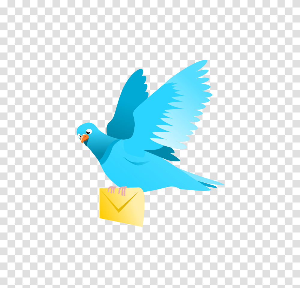 Flying Pig Clip Art, Bird, Animal, Pigeon, Dove Transparent Png